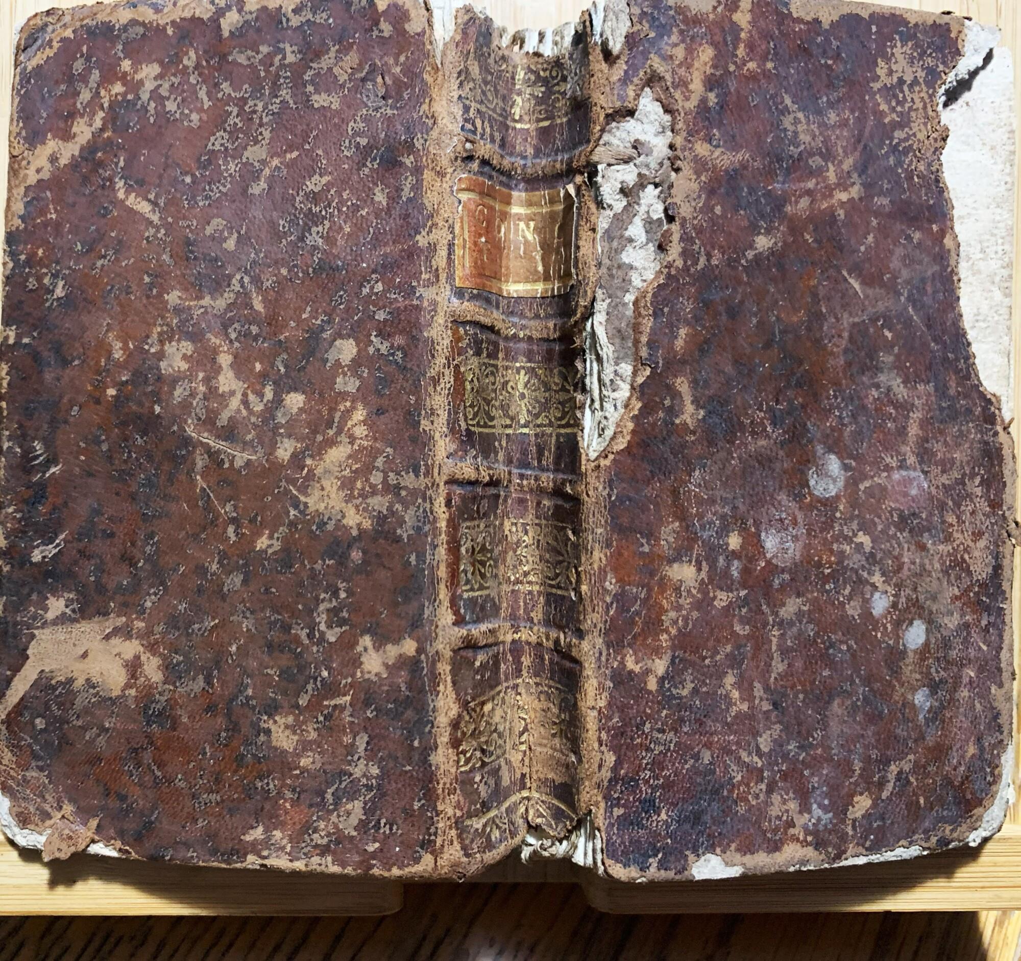 Sacrosancti Concilii Tridentini Paulo III. Julio III. et Pio IV. PP. MM. Celebrati Canones, & Decreta. Quid in hac editione praestitum fit, sequens Praefatio indicabit