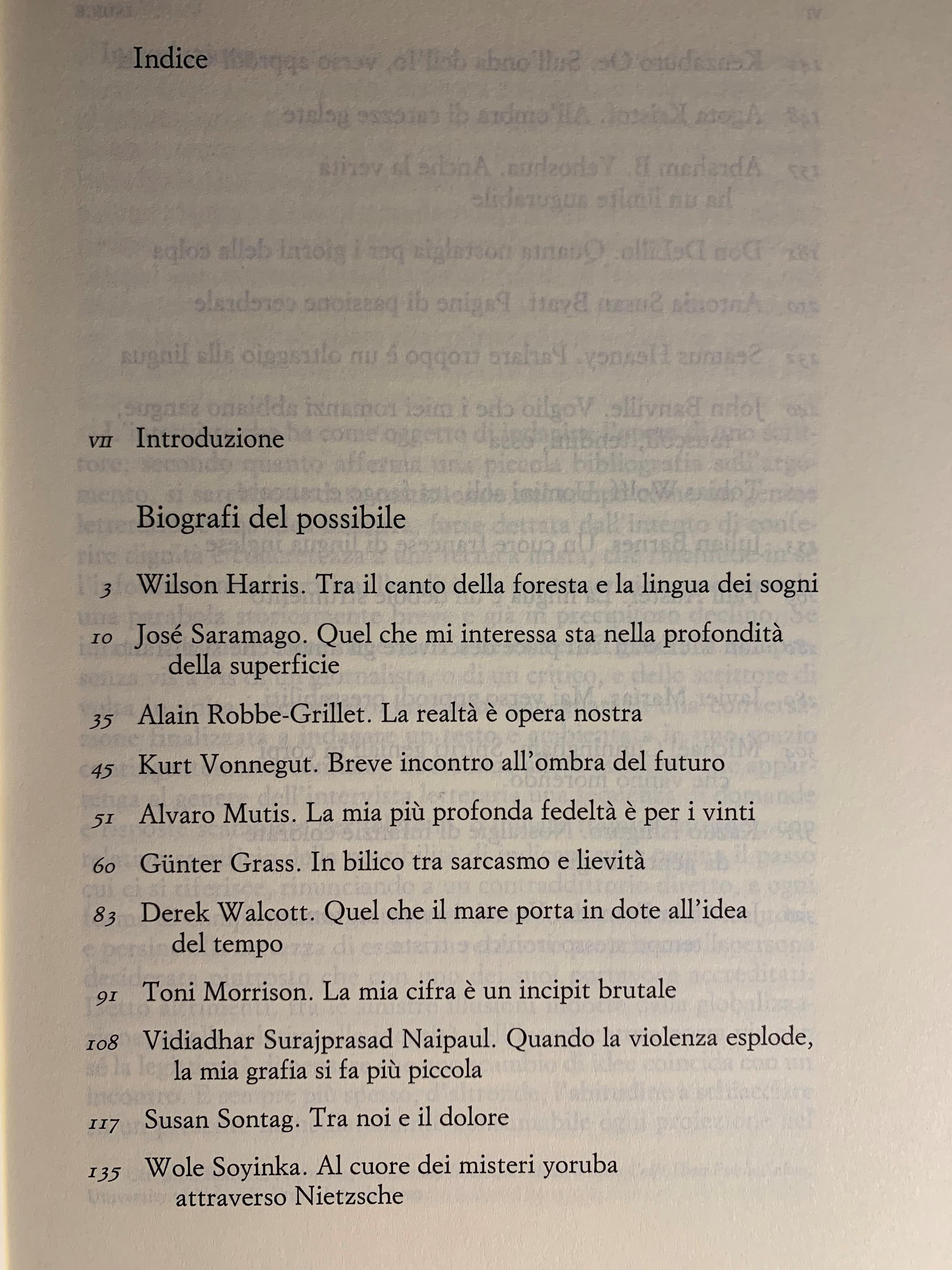 Biografi del possibile. Incontri con Wilson Harris, José Saramago, Alain Robbe-Grillet, Kurt Vonnegut, Alvaro Mutis, Günter Grass, Derek Walcott, Toni Morrison, Vidiadhar Surajprasad Naipaul, Susan Sontag, Wole Soyinka, Kenzaburo Oe, Agota Kristof, A