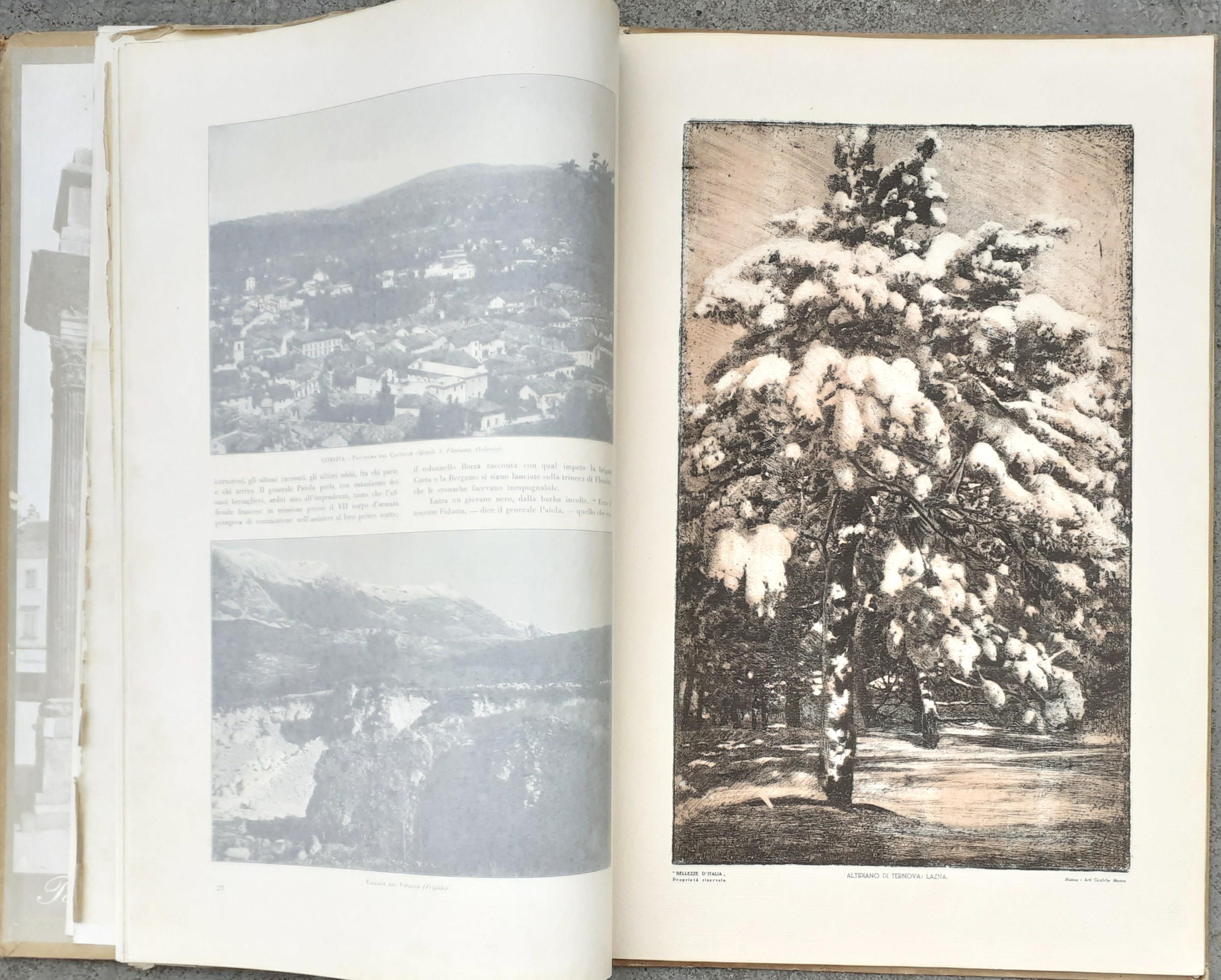 Bellezze d'Italia "Venezia Giulia" Edizioni Italia Artistica 1924