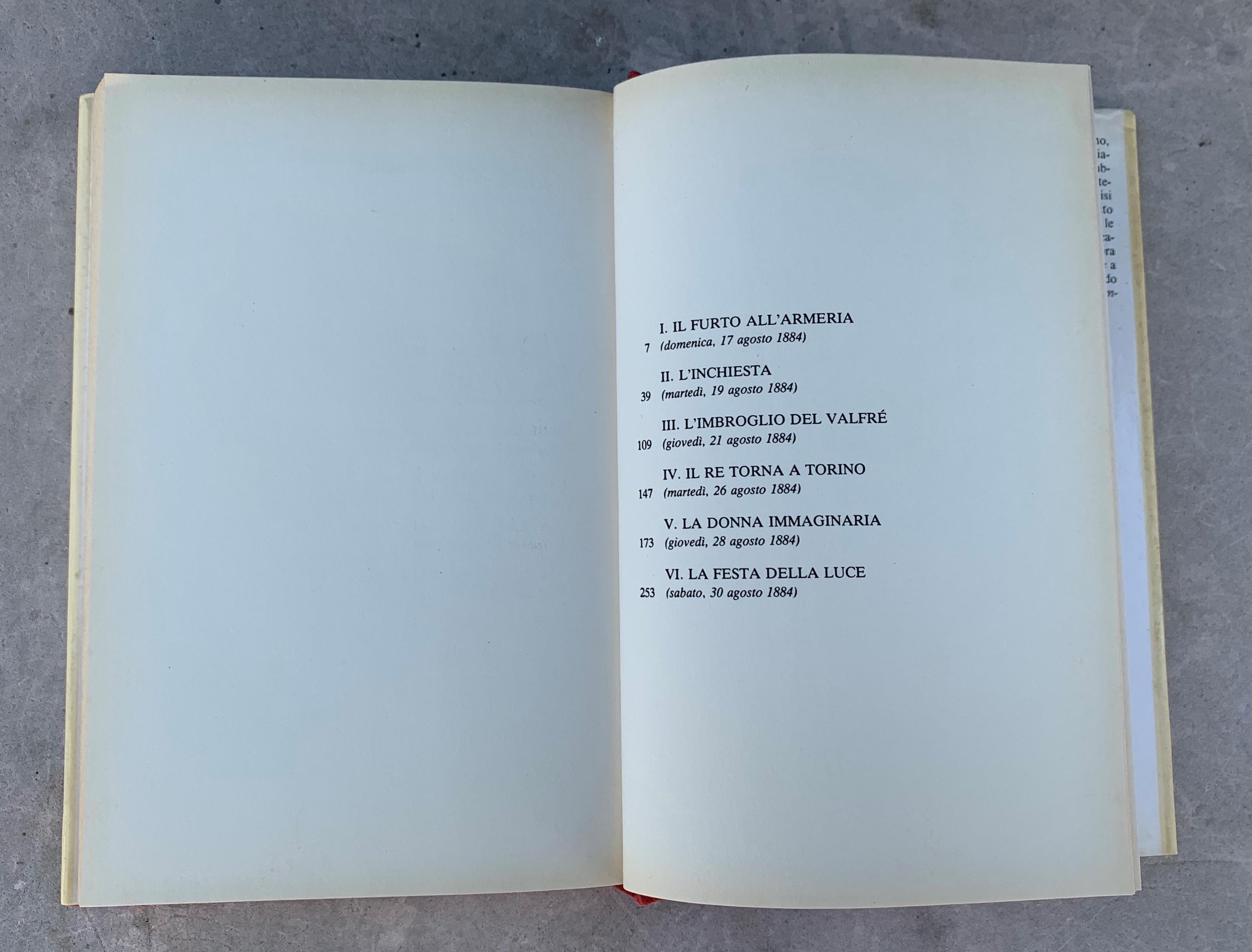 Caccia al ladro in casa Savoia. Romanzo