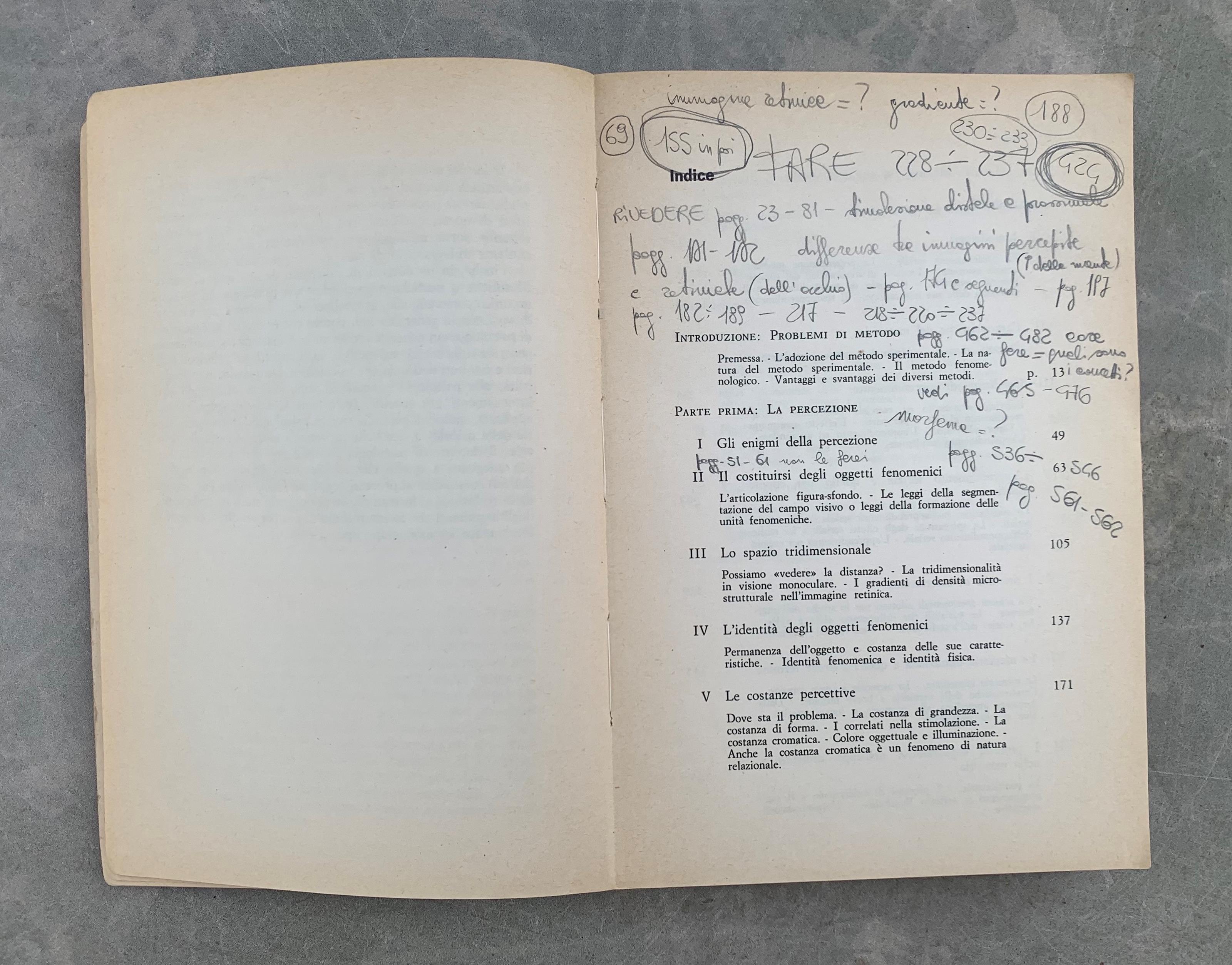 I processi cognitivi. Un'introduzione alla psicologia generale