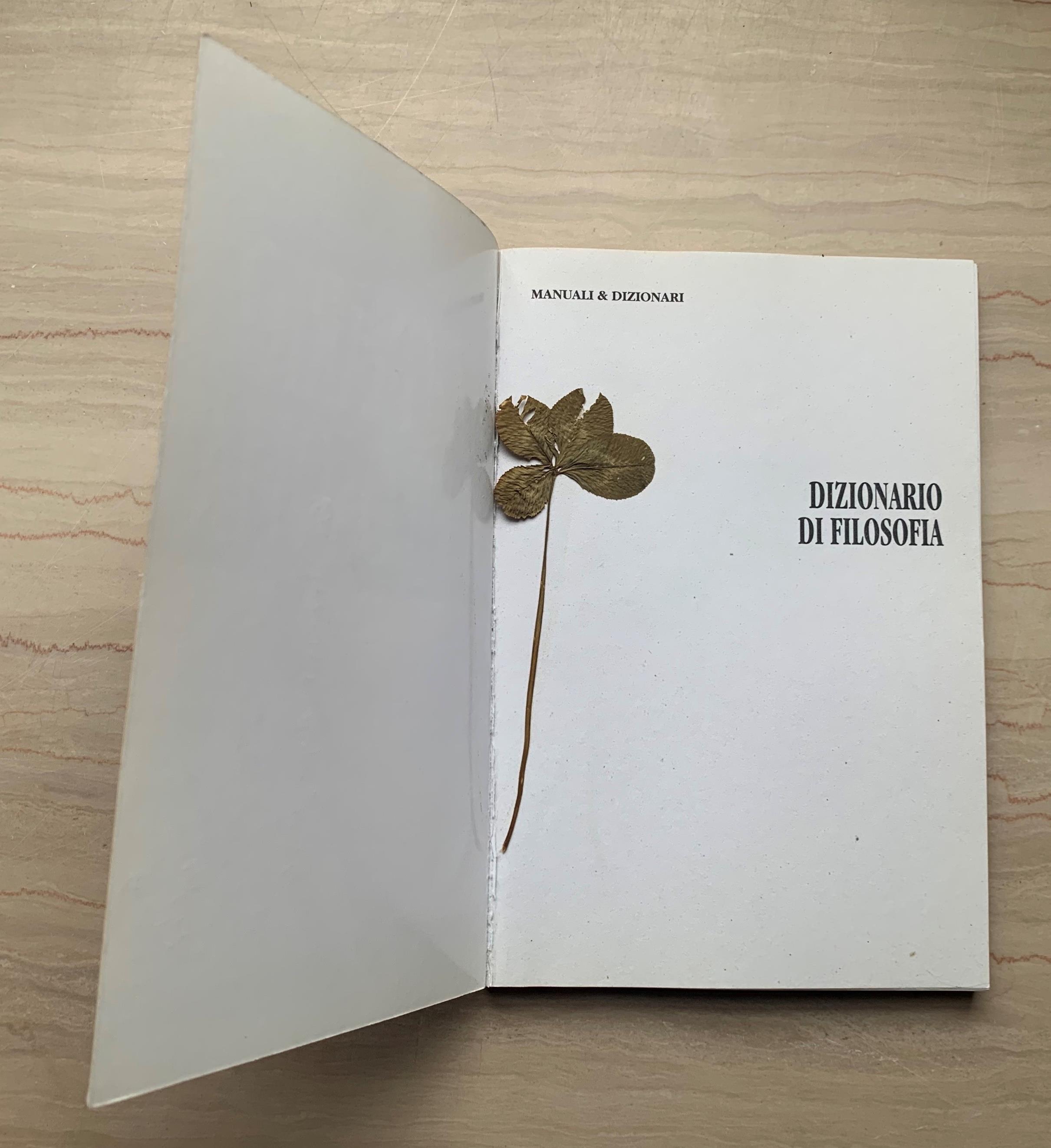 DIZIONARIO DI FILOSOFIA. Tutti i maestri, le opere e le scuole di pensiero, con una spiegazione di tutti i termini filosofici