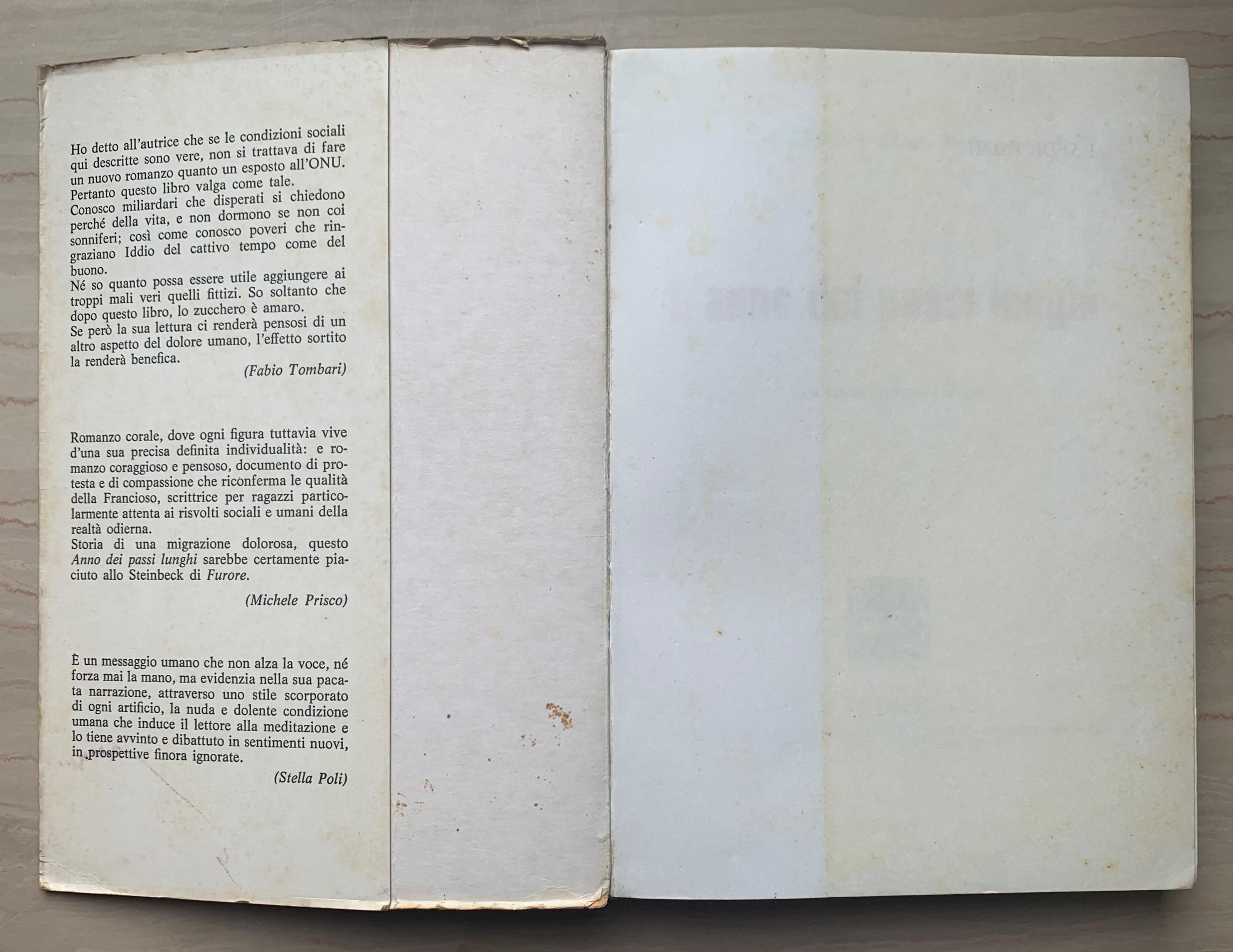 L' anno dei passi lunghi. Una storia del Brasile d'oggi