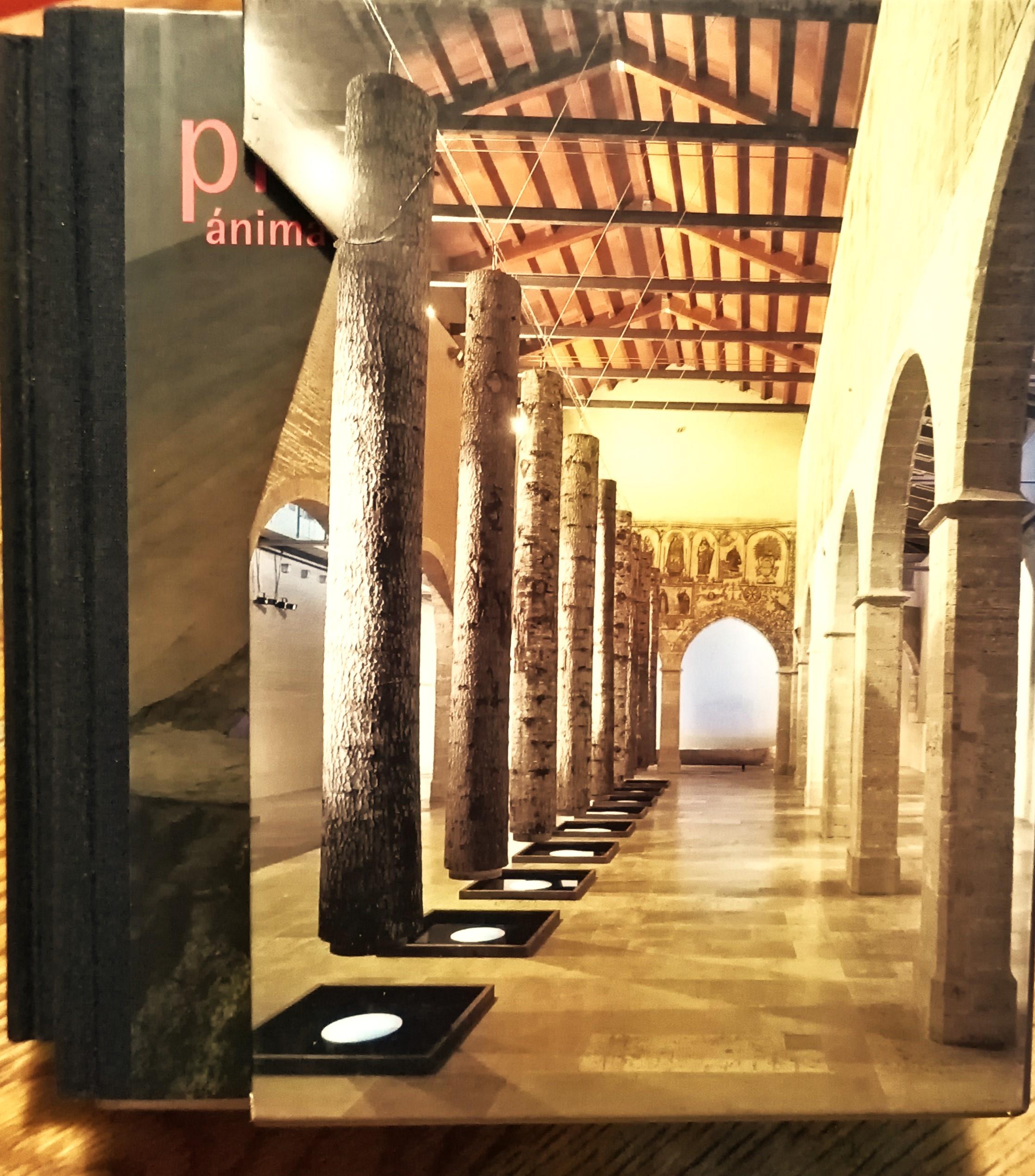 Catalogo Plessi Anima della materia Almodi Valencia marzo 2000