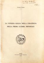 La Venezia Giulia nella strategia della 1° Guerra Mondiale