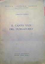 Il Canto Xxix Del Purgatorio
