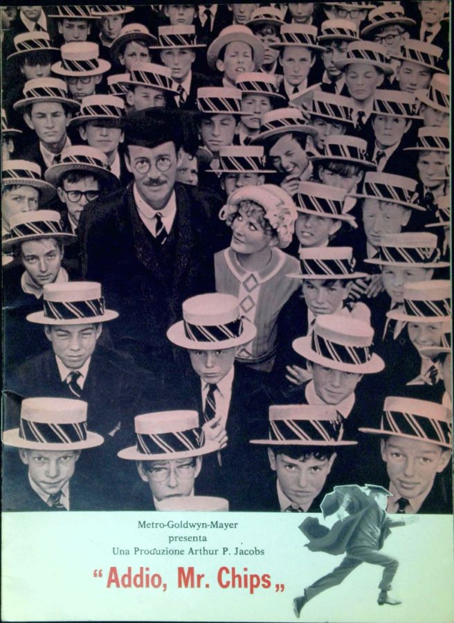 Libreria Serendipity