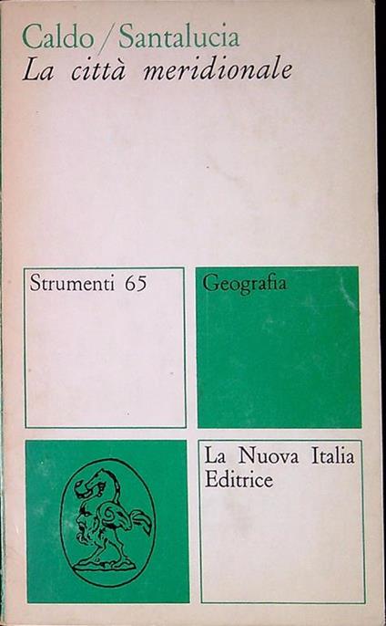 La città meridionale - Costantino Caldo - copertina