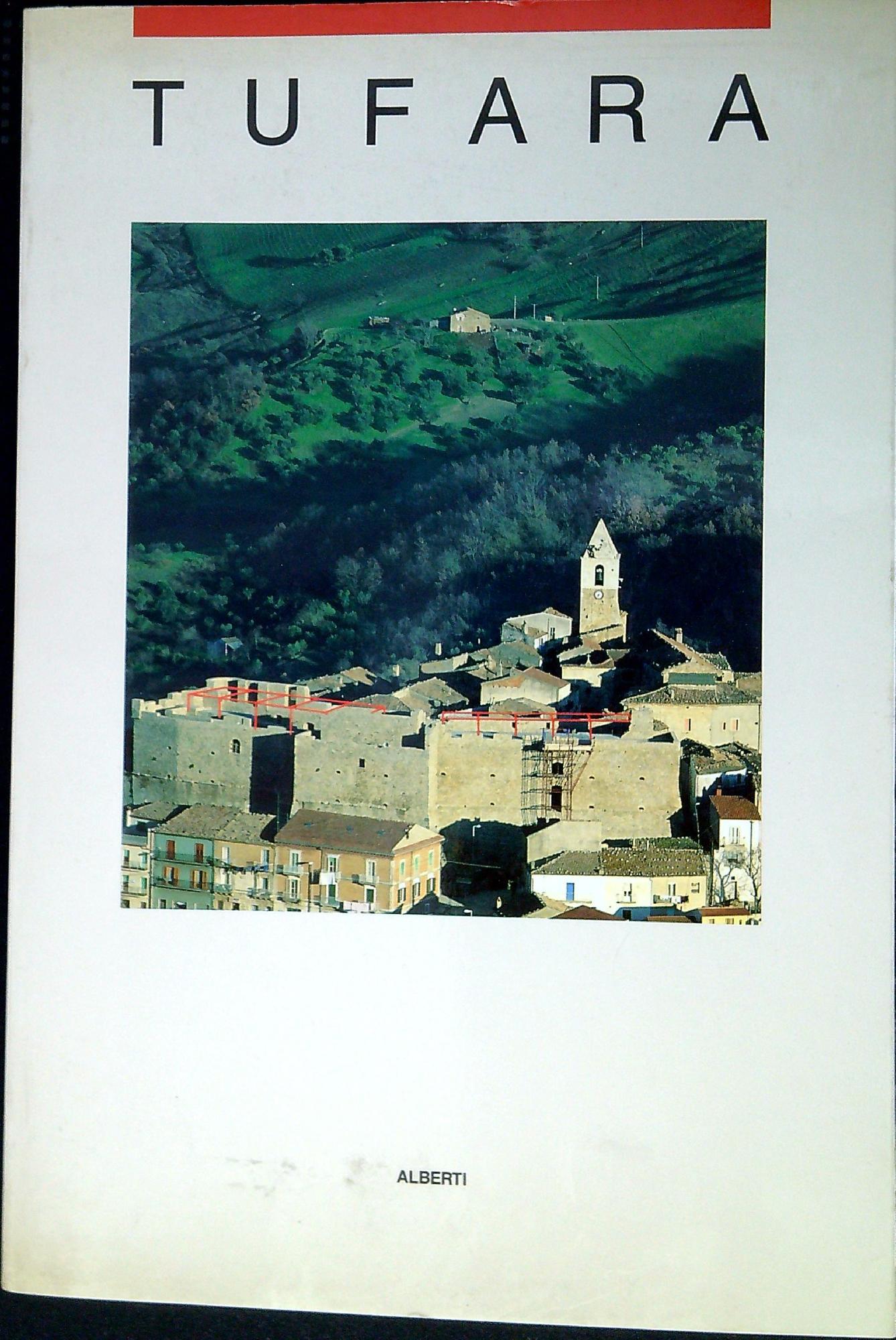 Il castello di Tufara centro amministrativo della città : consolidamento e rius