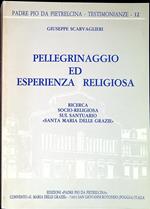 Pellegrinaggio ed esperienza religiosa : ricerca socio-religiosa sul Santuario Santa Maria delle Grazie in San Giovanni Rotondo