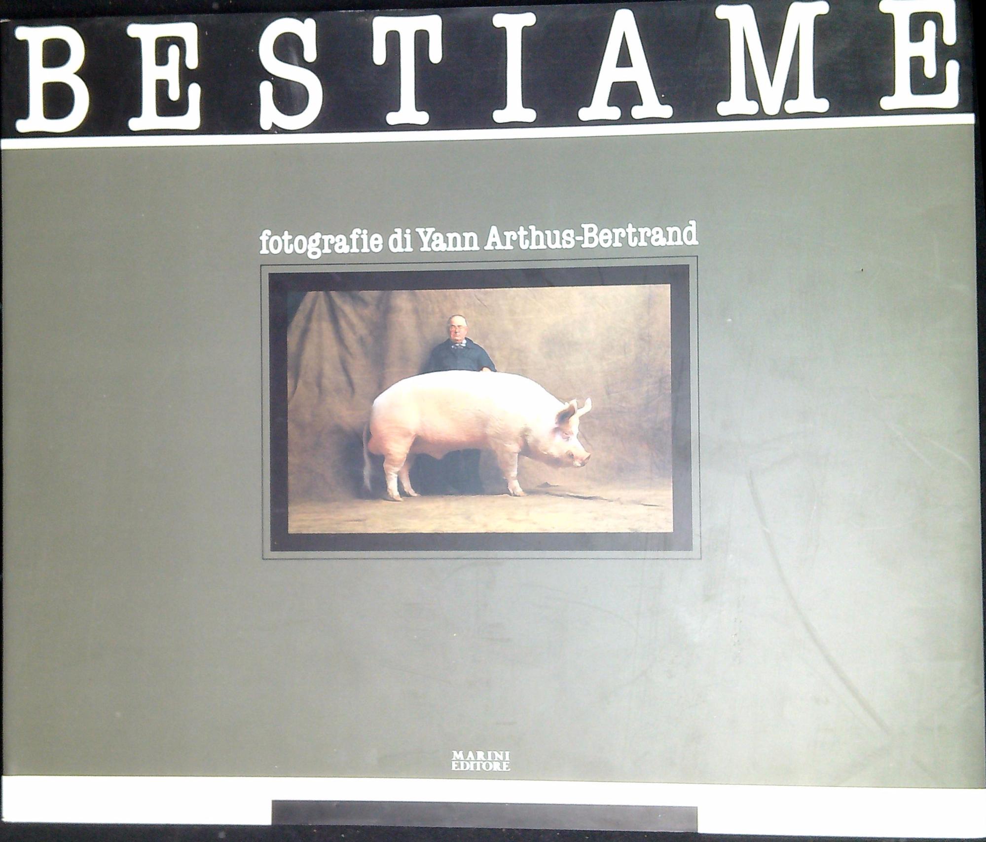 Libreria Serendipity