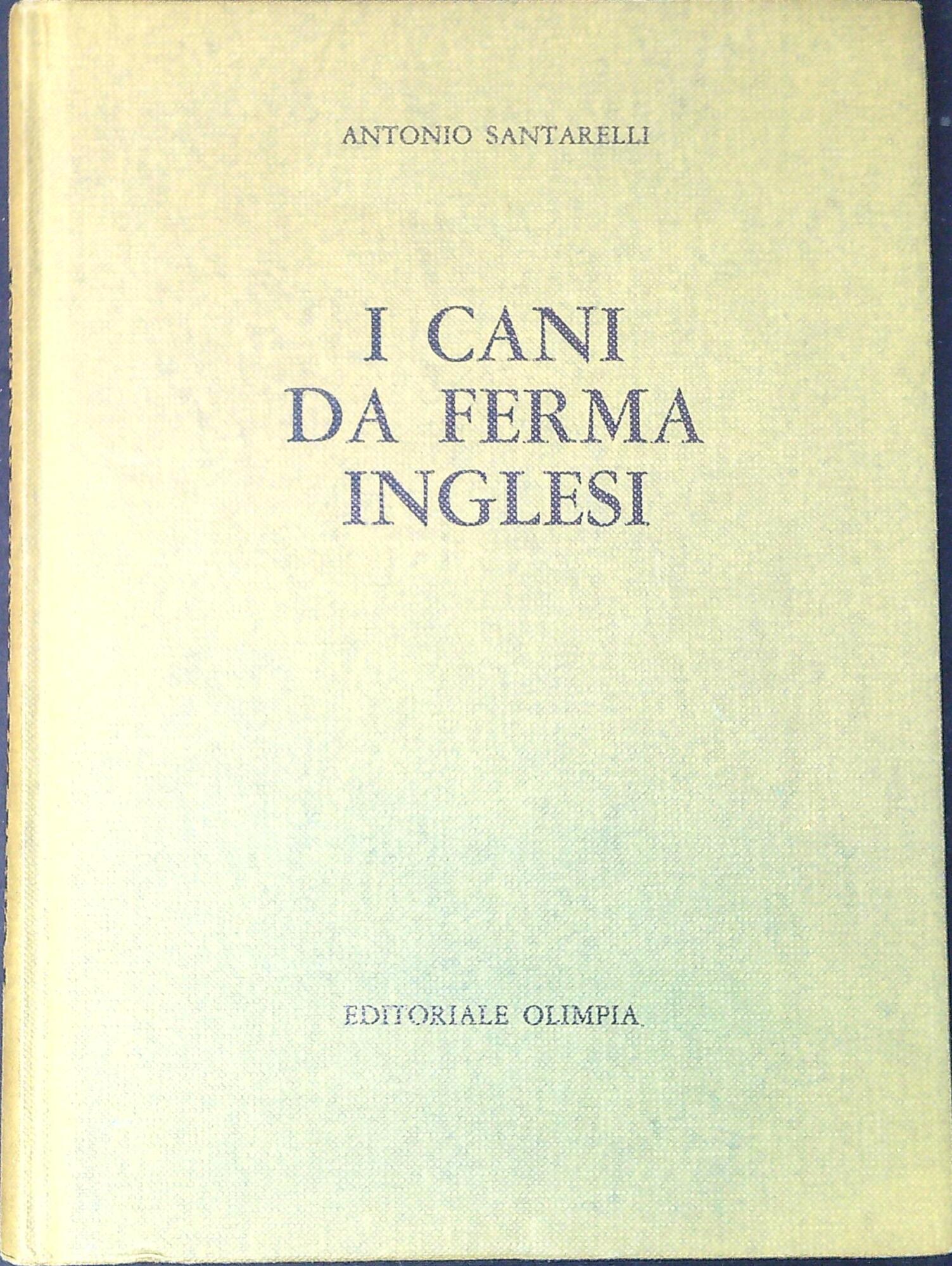 Libreria Serendipity