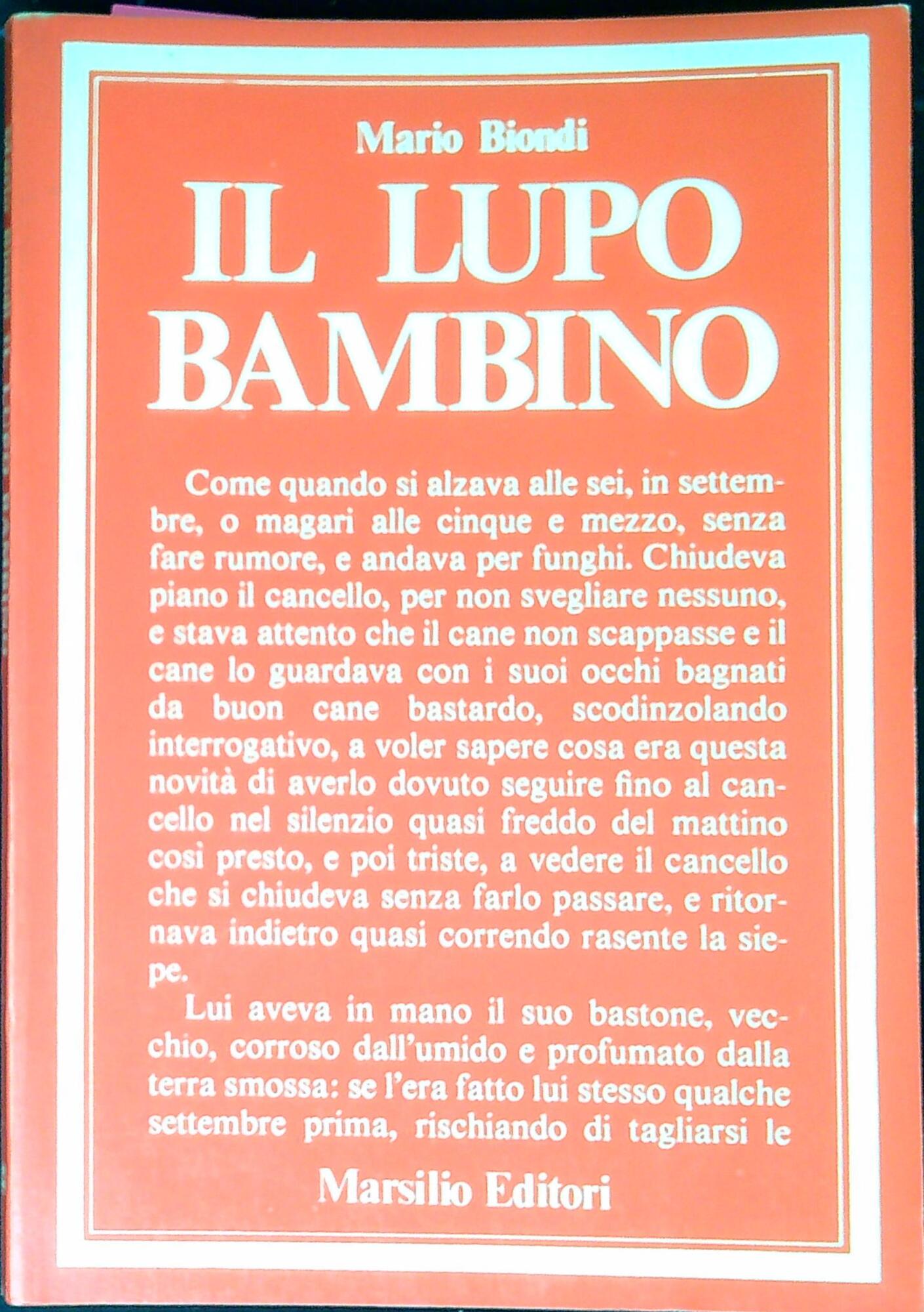 Libreria Serendipity