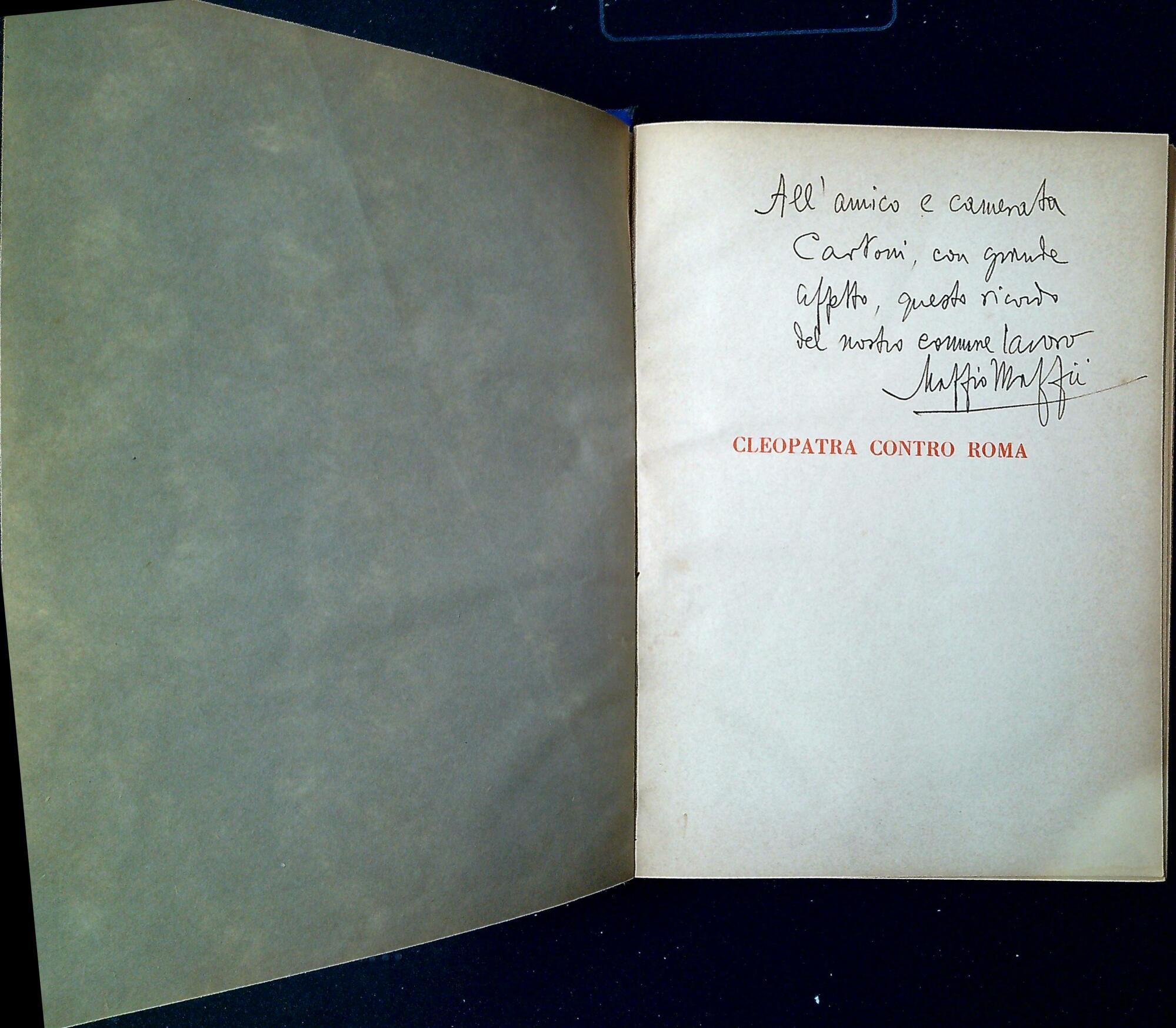 Libreria Serendipity