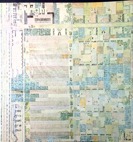 Frank Lloyd Wright: disegni 1887-1959 : Napoli, Palazzo Reale, 9 dicembre 1976-10 gennaio 1977 - copertina