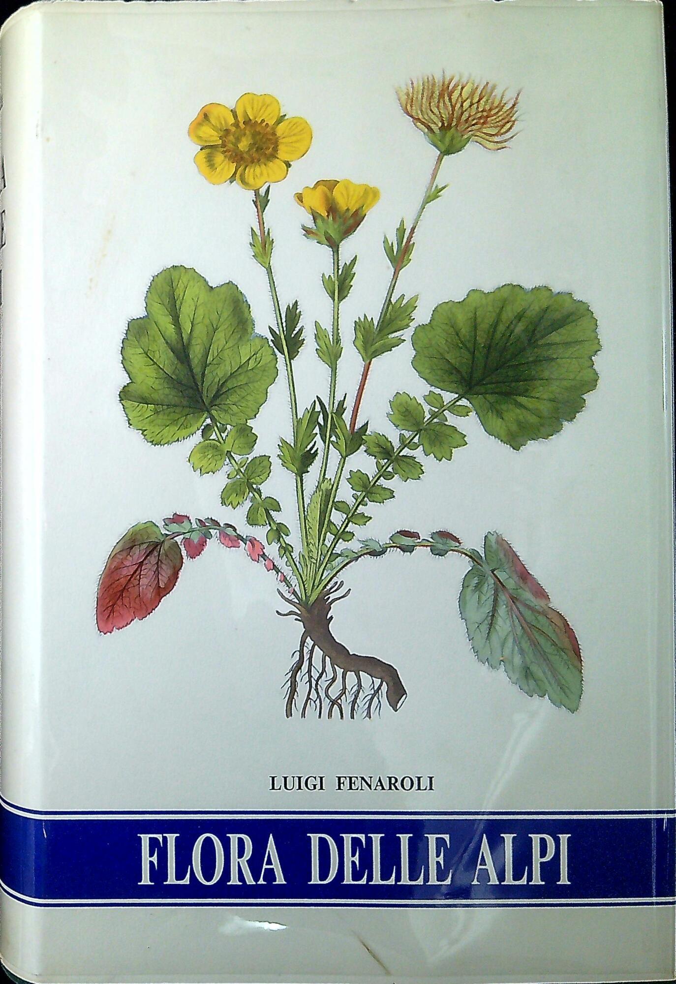 Libreria Serendipity