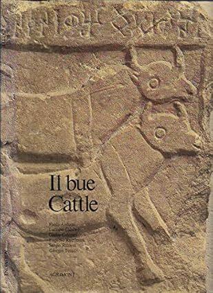 Il bue. Cattle