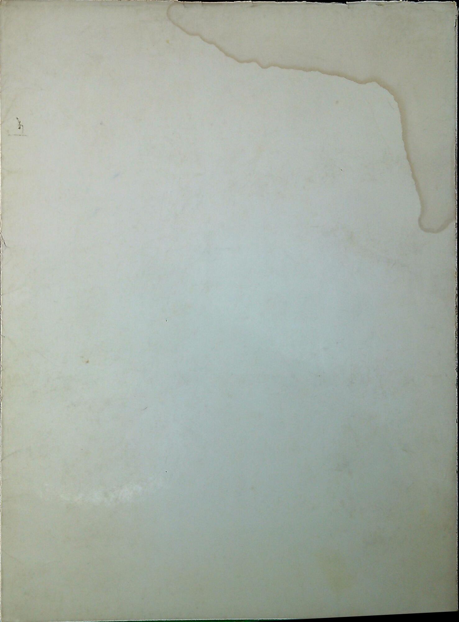 Libreria Serendipity