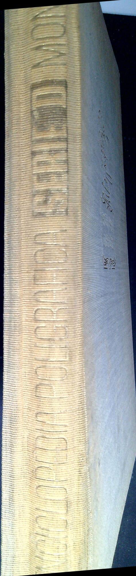 Libreria Serendipity