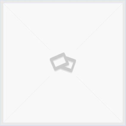 Il Taj Mahal - David Carroll - copertina