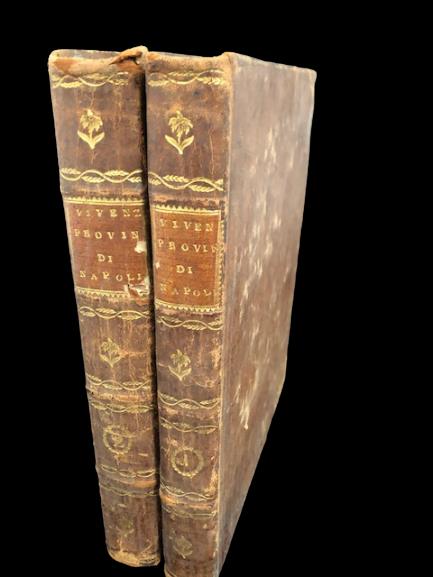 Delle Antiche Provincie del REGNO di NAPOLI e loro governo.Dalla decadenza dell'impero Romano infino al Re Manfredi - Nicola Vivenzio - copertina