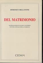 Del matrimonio : separazione, invalidità, divorzio tutela penale della famiglia