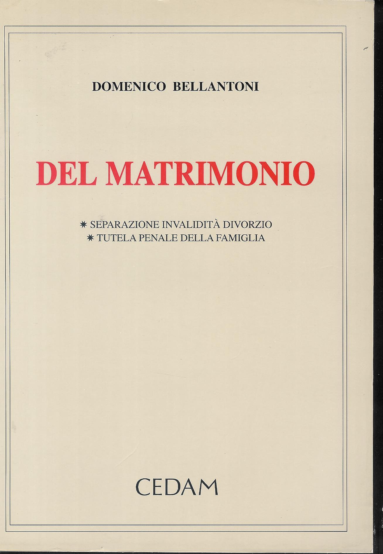 Del matrimonio : separazione, invalidità, divorzio tutela penale della famiglia