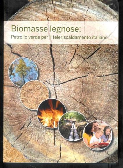 Biomasse legnose : petrolio verde per il teleriscaldamento italiano - copertina