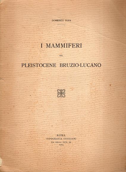I mammiferi nel Pleistocene Bruzio - Lucano - Domenico Topa - copertina