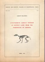 Cynotherium Sardous Studiati An Extinct Canid From The Pleistocene Of Sardinia
