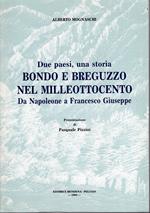 Due paesi una storia: Bondo e Breguzzo nel milleottocento: da Napoleone a Francesco Giuseppe. Presentazione di Pasquale Pizzini
