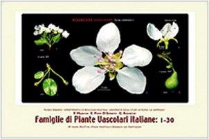 Famiglie di piante vascolari italiane: 1-30 - copertina