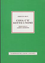 COSA C'è SOTTO I NOMI Vagabondaggi nella ricerca linguistica