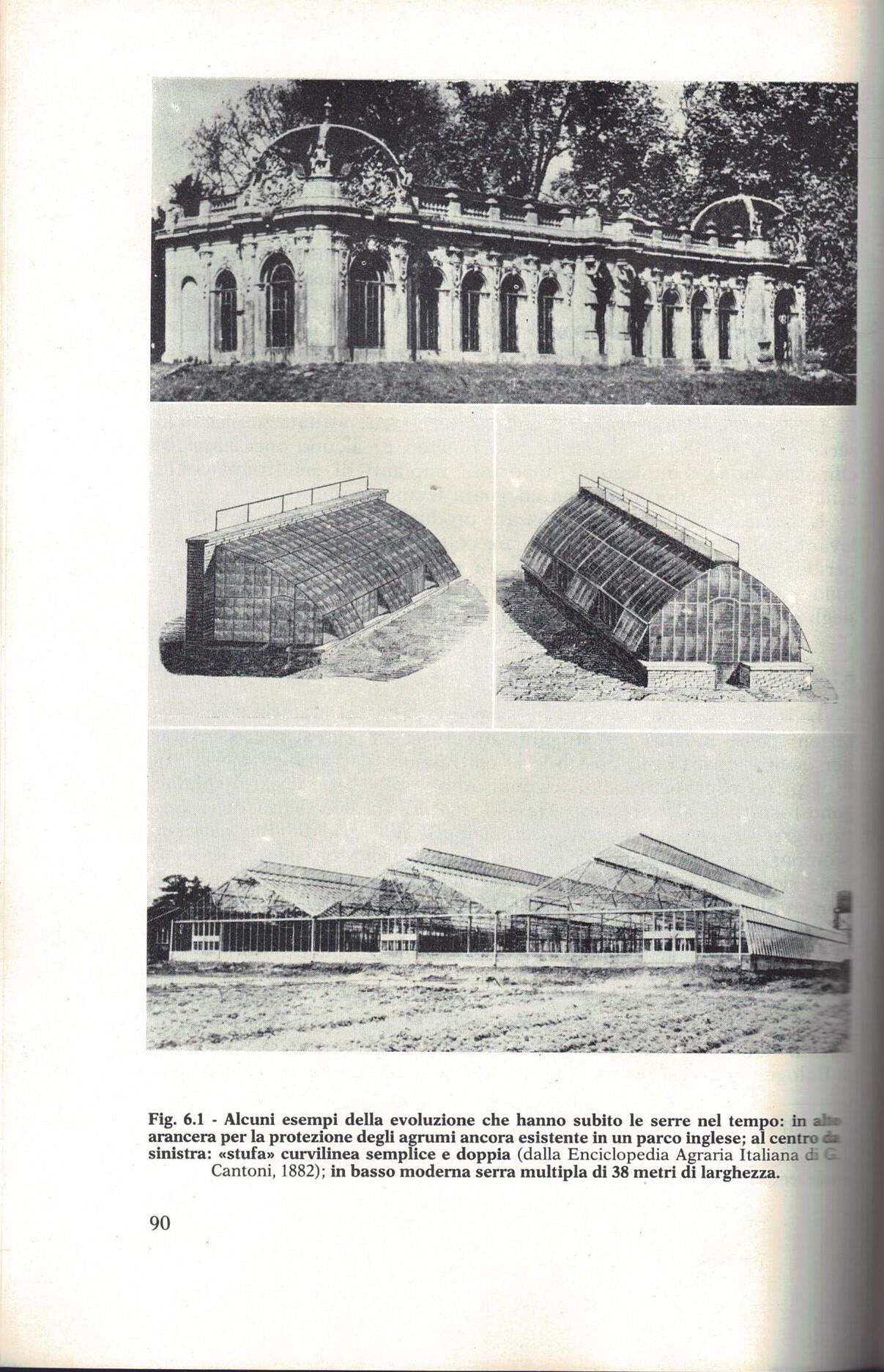 Moderne tecniche di protezione in orticoltura floricoltura e frutticoltura