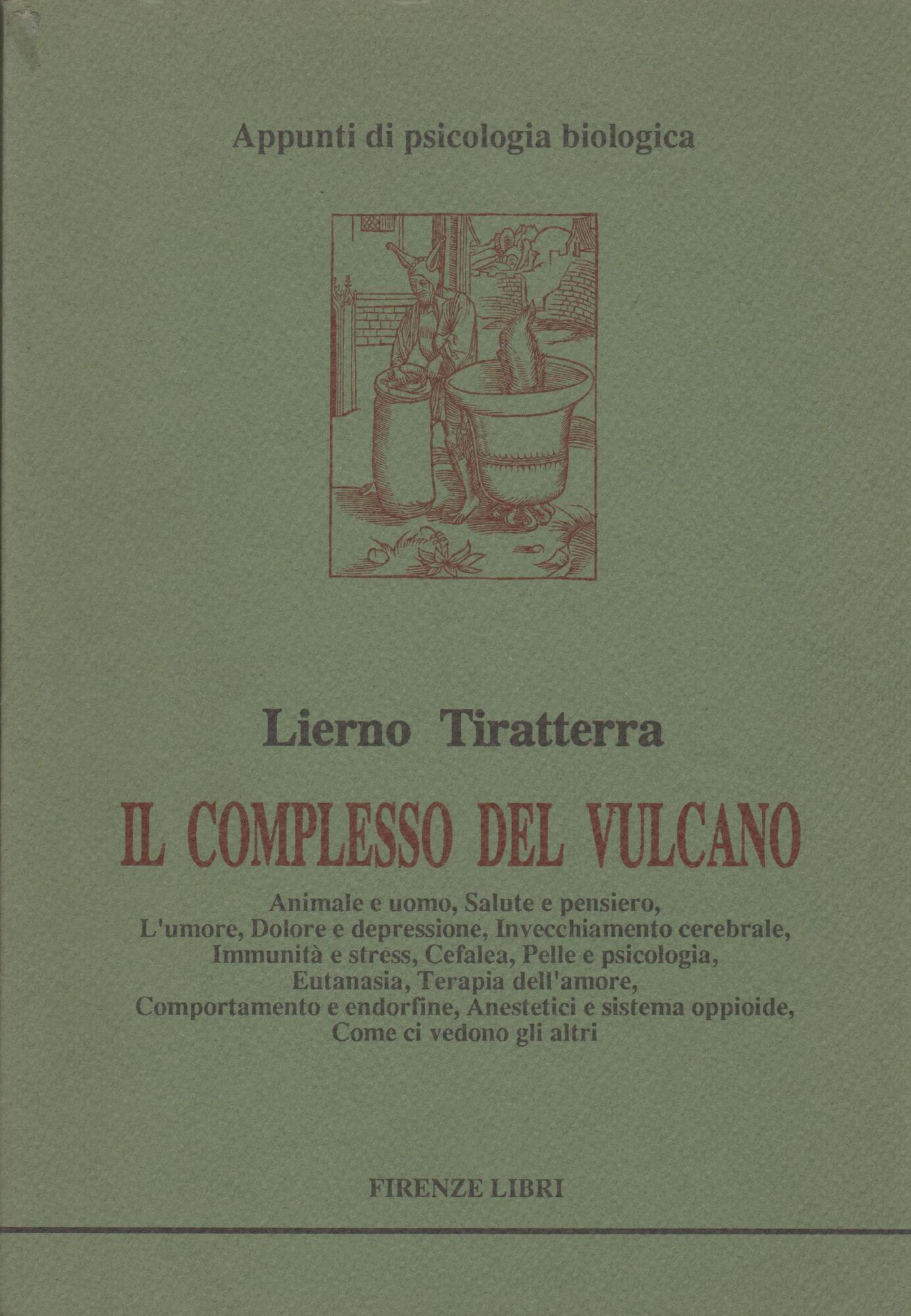 Il complesso del vulcano