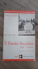 Il partito Socialista