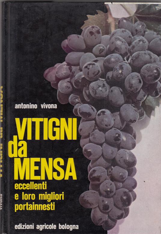 Vitigni Da Mensa Eccellenti E I Loro Migliori Portainnesti - copertina