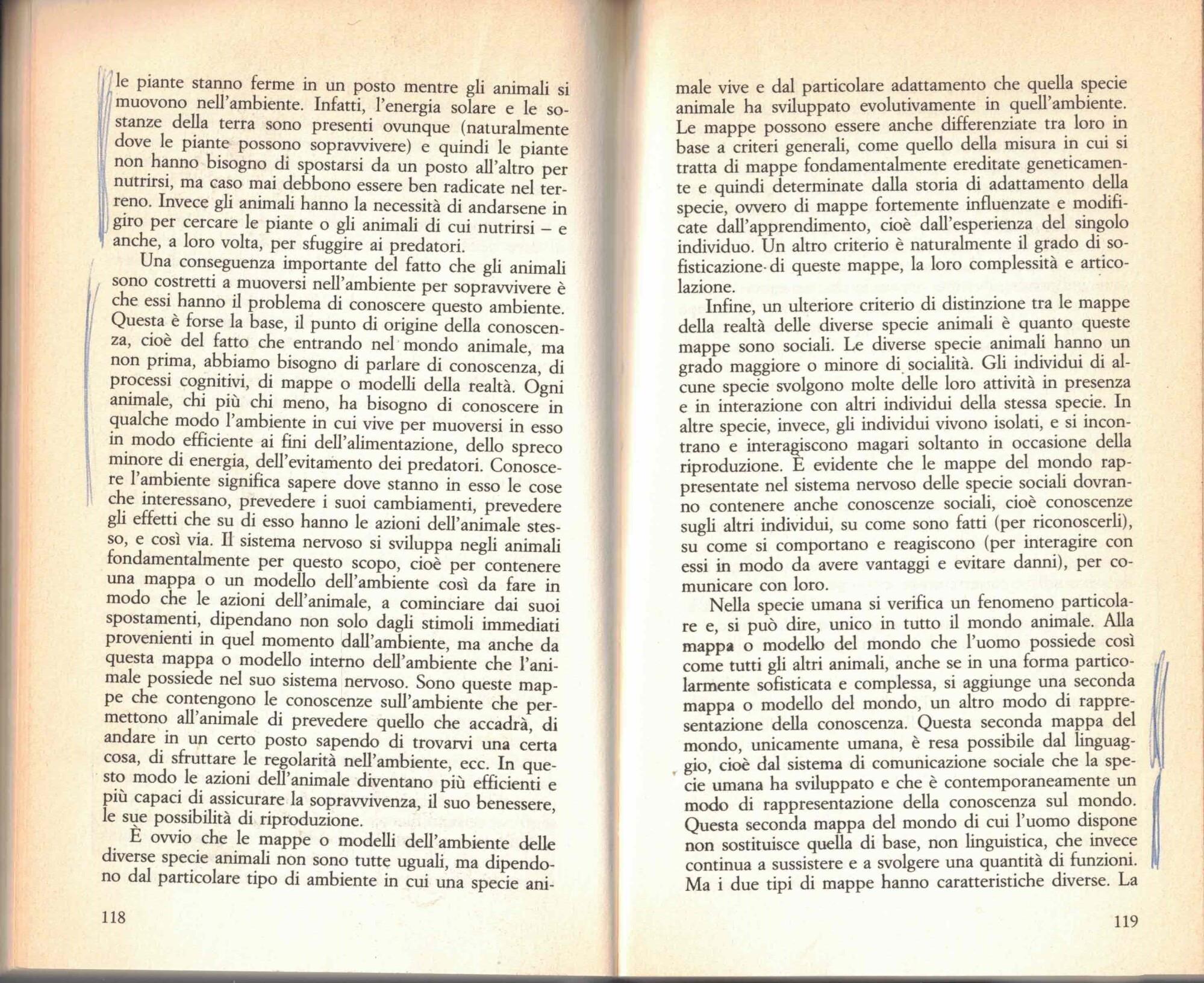 Intervista sulle reti neurali. Cervello e macchine intelligenti