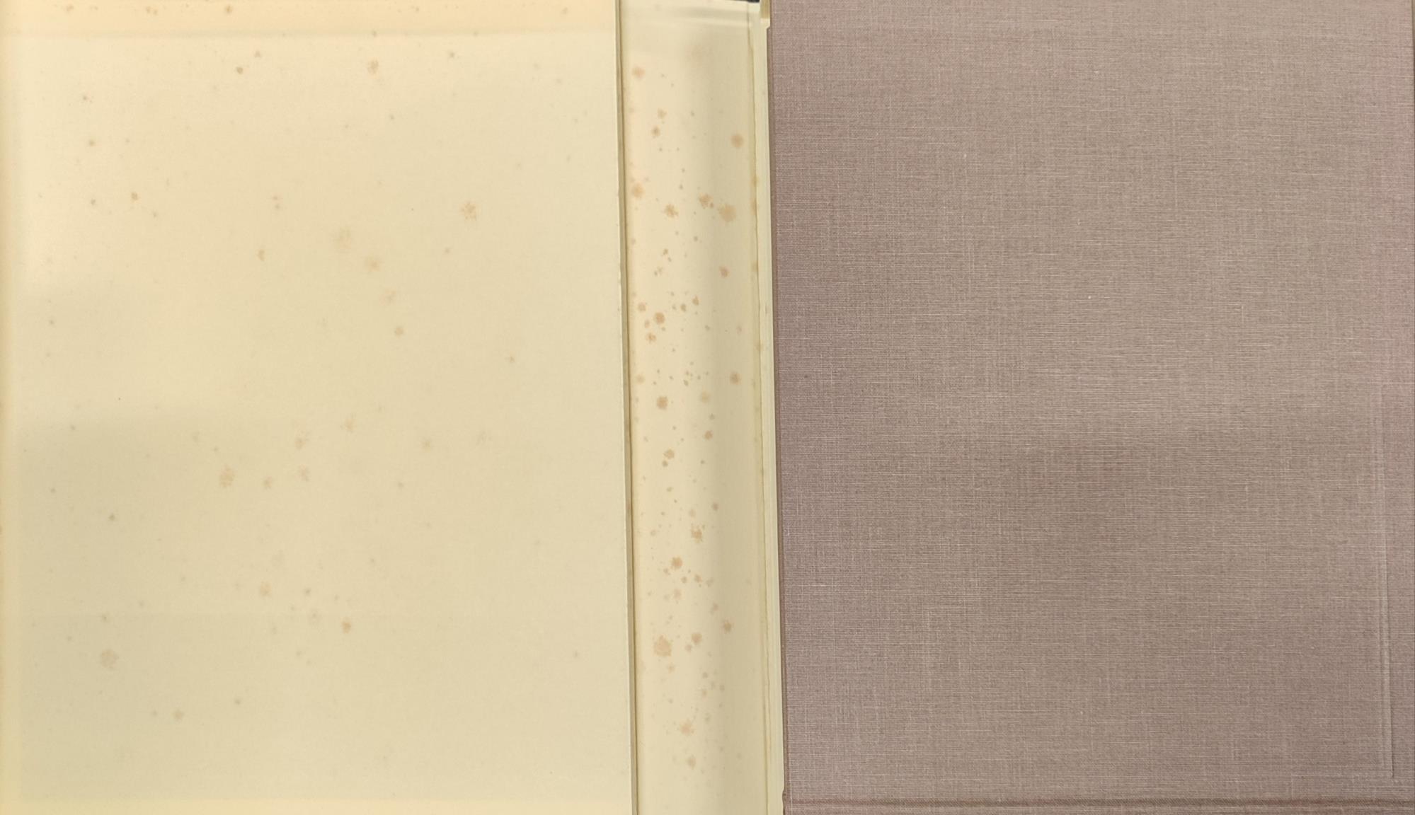 Treccani 2000. Eredità del novecento. 4 volumi con album