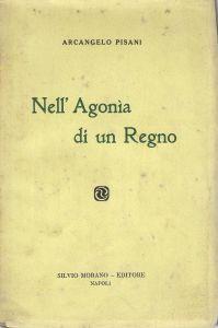 Nell'agonia d'un regno - Angelo Pisani - copertina
