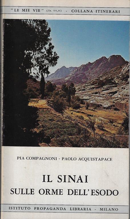 Sinai. Sulle orme dell'Esodo - copertina