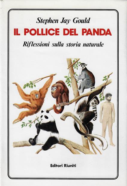 Il pollice del panda. Riflessioni sulla storia naturale - Stephen Jay Gould - copertina