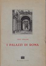 I palazzi di Roma