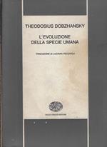 L' evoluzione della specie umana