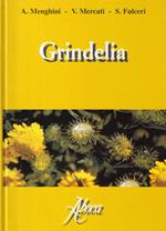 Grindelia