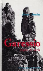 Garessio, pagine di storia : girotondo di 22 leggende nostre
