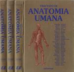 Trattato di anatomia umana (tre volumi)