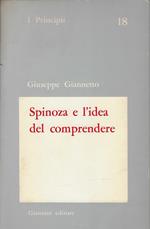Spinoza e l'idea del comprendere