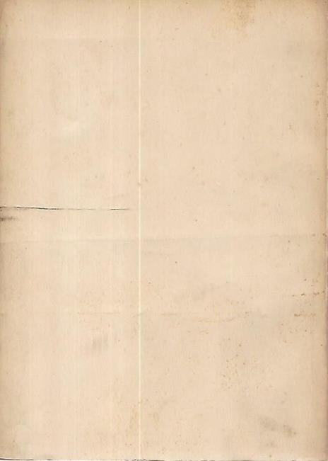 L' urologia ginecologica - Luigi Cattaneo - 2