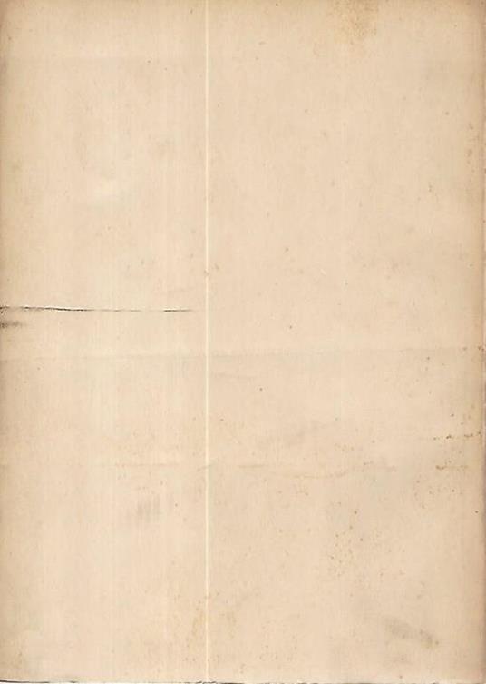 L' urologia ginecologica - Luigi Cattaneo - 2